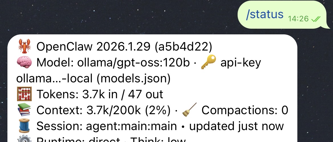 Yes, the Hype Is Real: Building a Local AI Assistant with OpenClaw